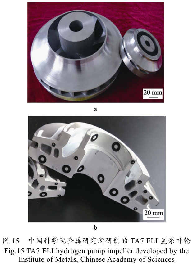 1699223242829554.jpg t15.jpg