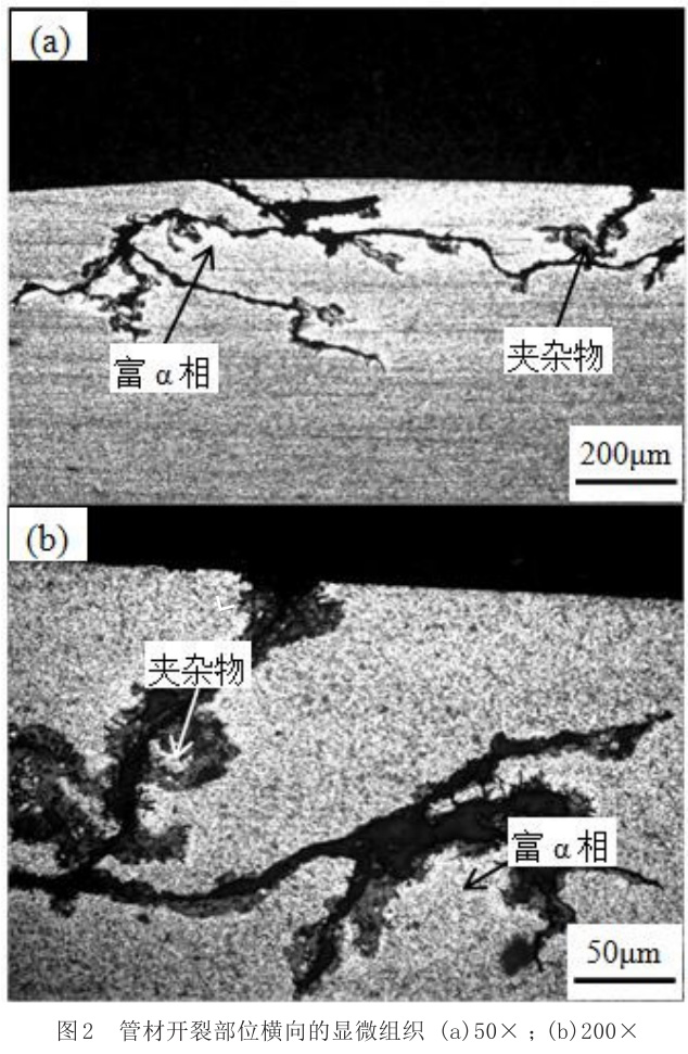 1686754409224625.jpg t2.jpg