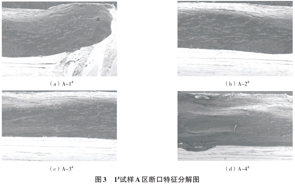 1712629218137245.jpg 3.jpg