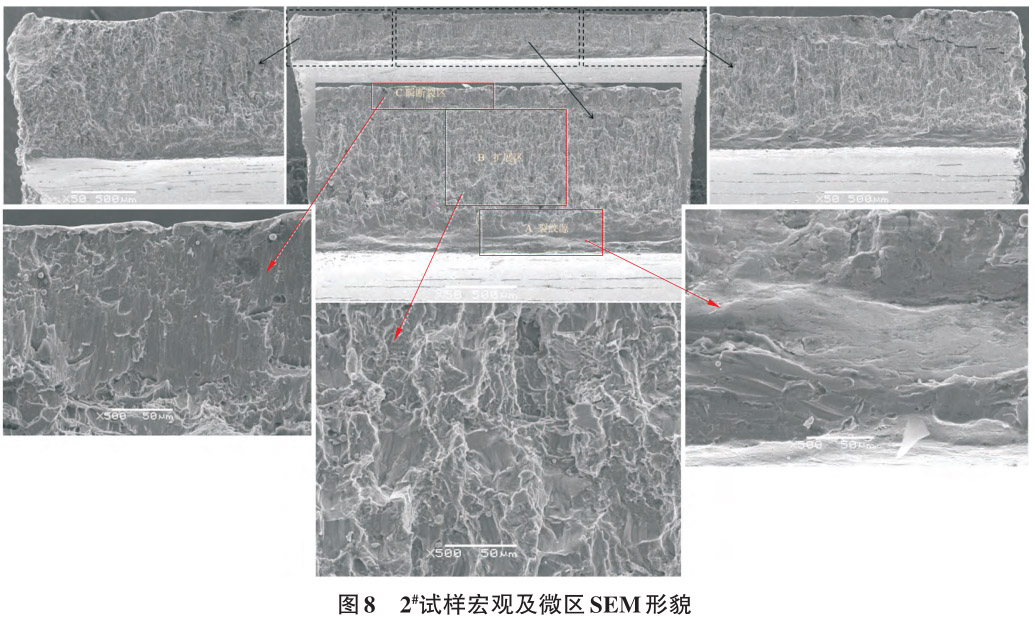 1712629260447027.jpg 8.jpg