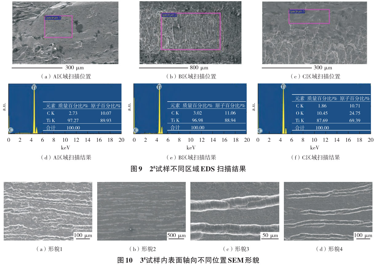 1712629269675061.jpg 10.jpg