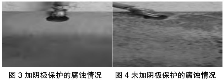 1723540555318843.jpg t3-4.jpg