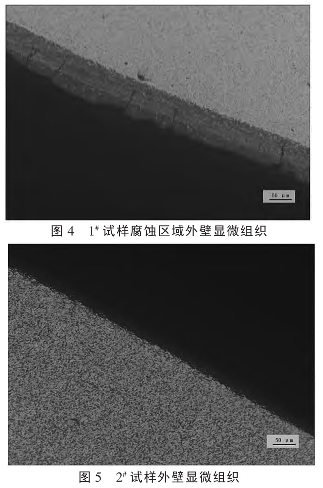 1727335513790886.jpg 4-5.jpg