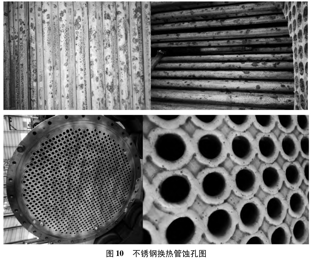 1738415666920090.jpg 10.jpg