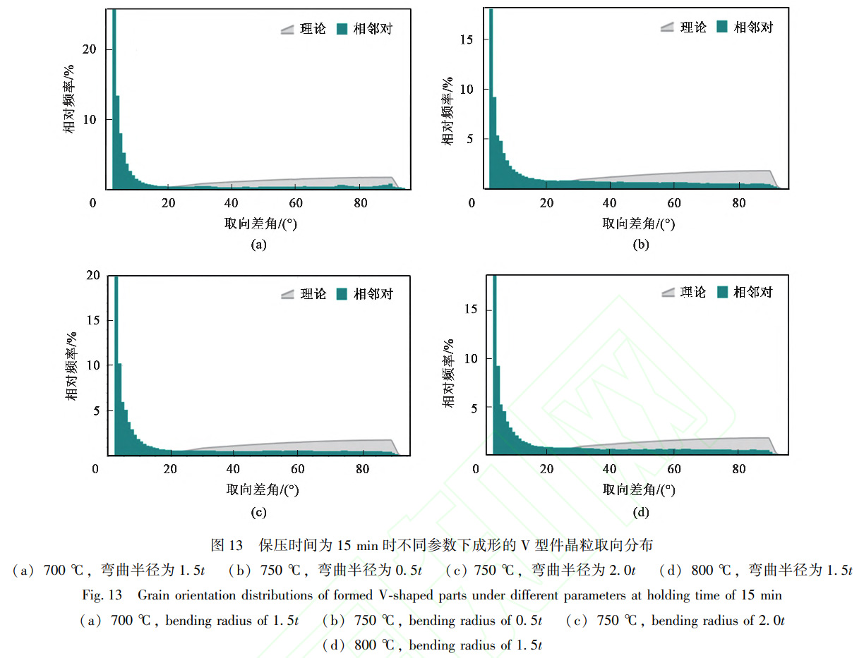 1738670916880391.jpg t13.jpg